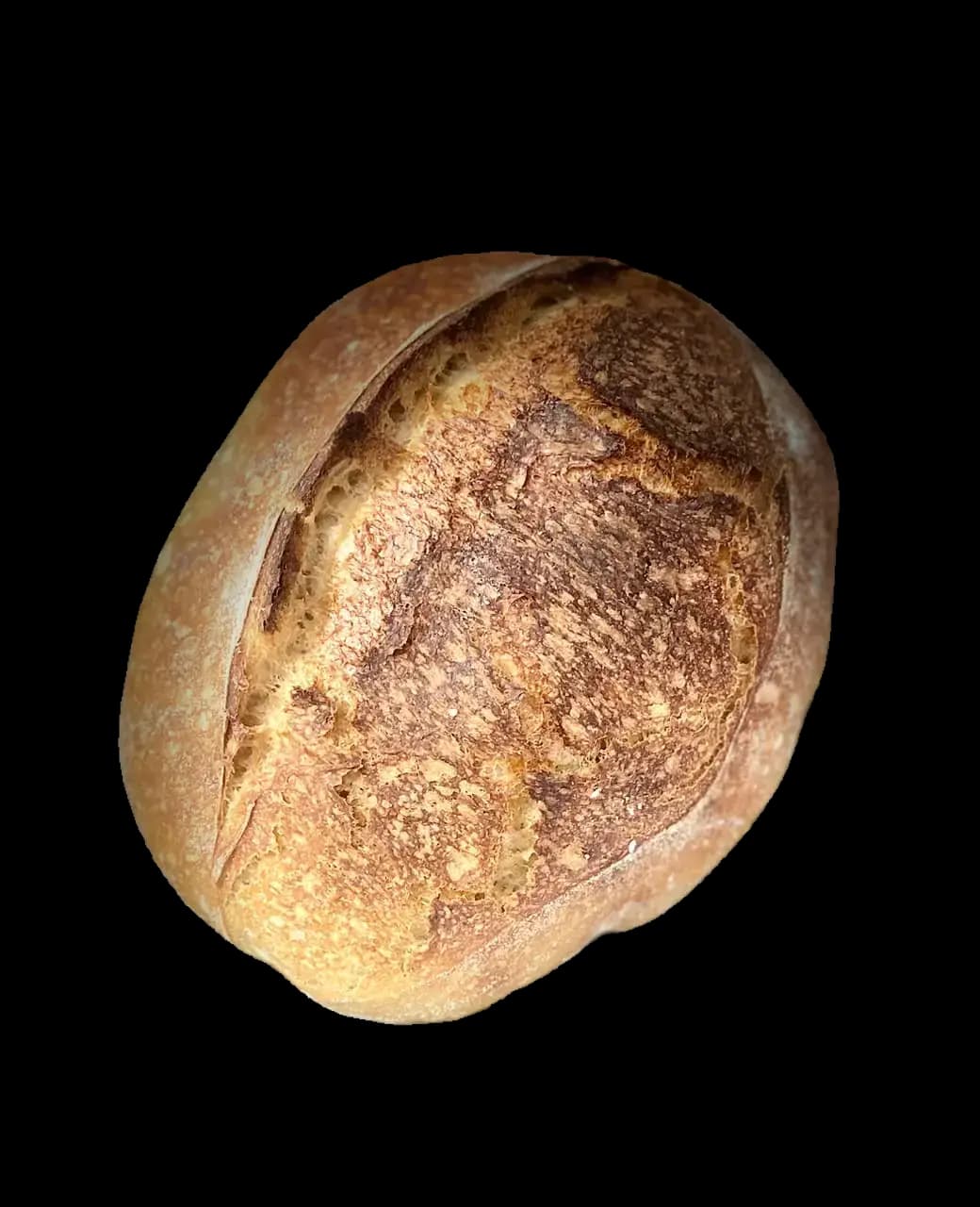 One-Day Sourdough