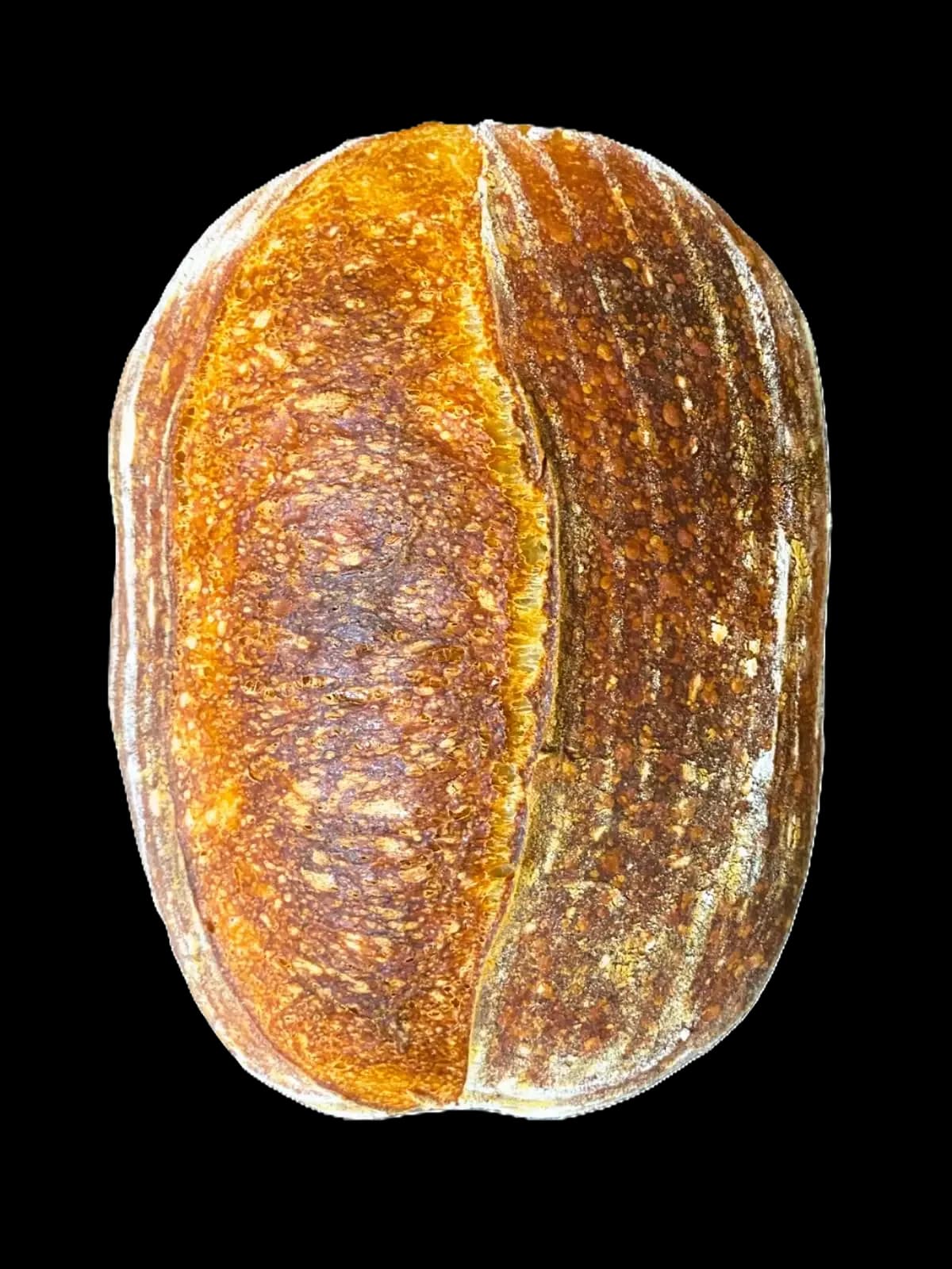 Semi-Sourdough