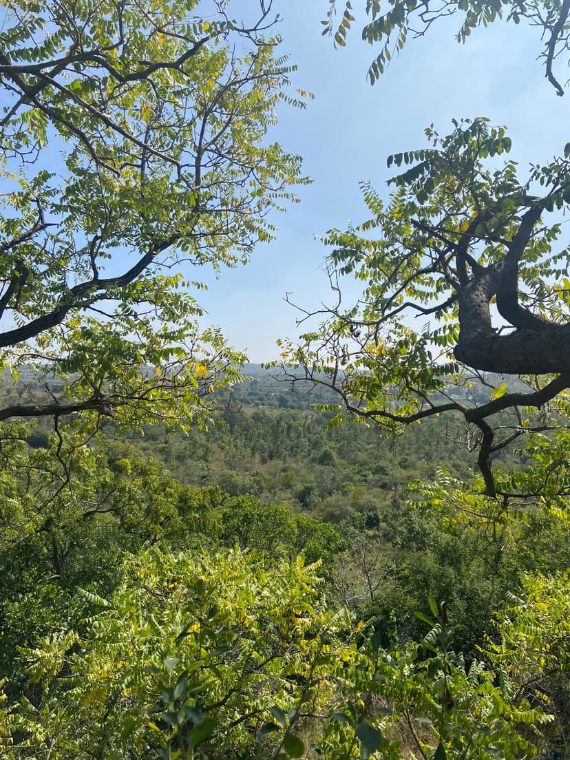 Bengaluru & Chikkaballapur