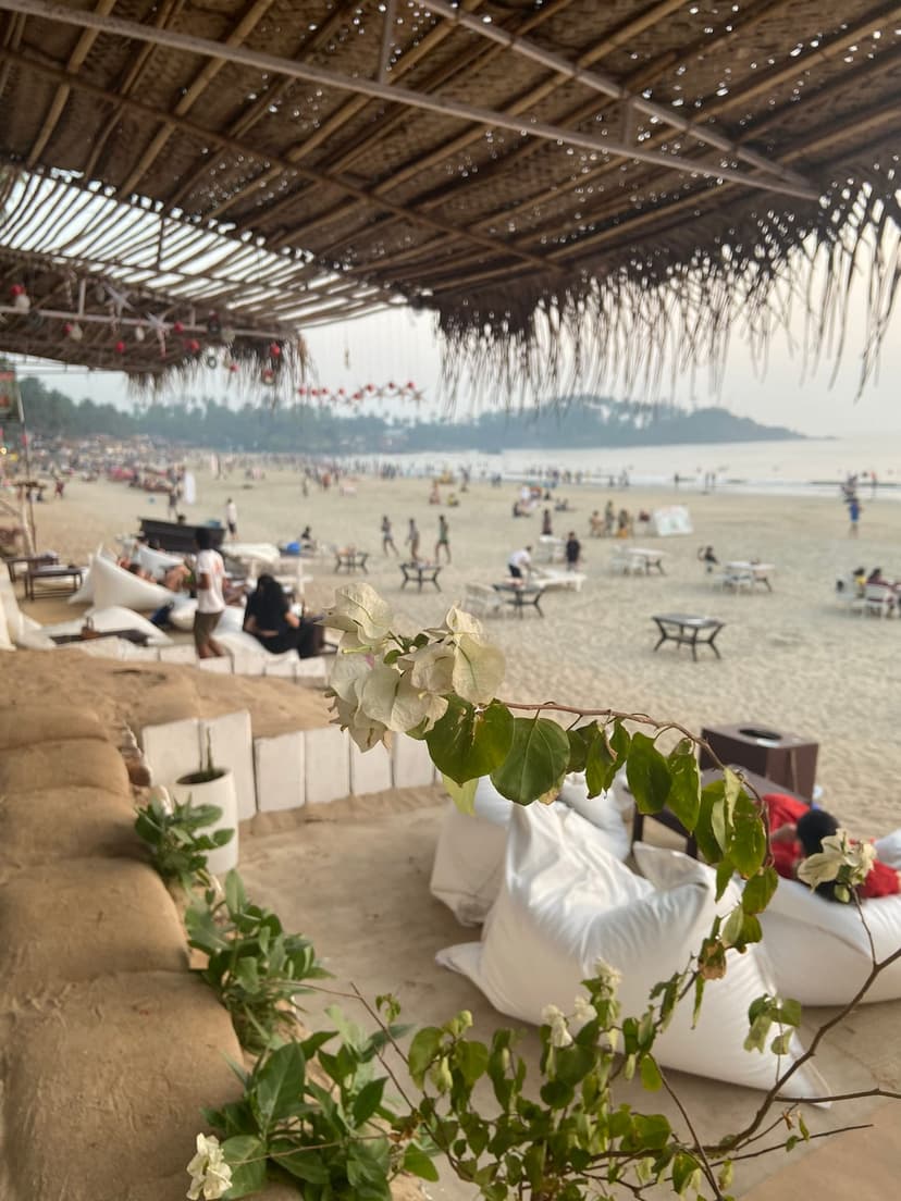 Goa
