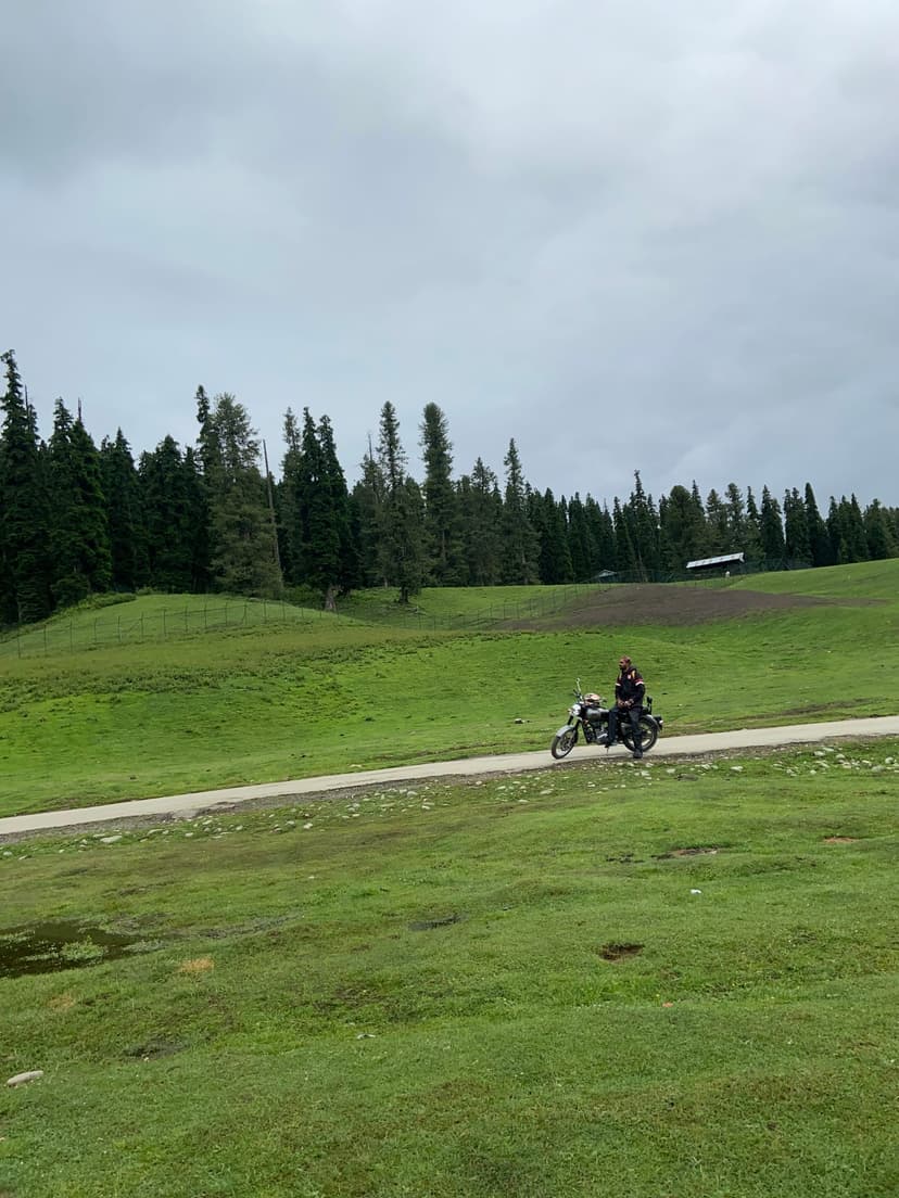 Kashmir